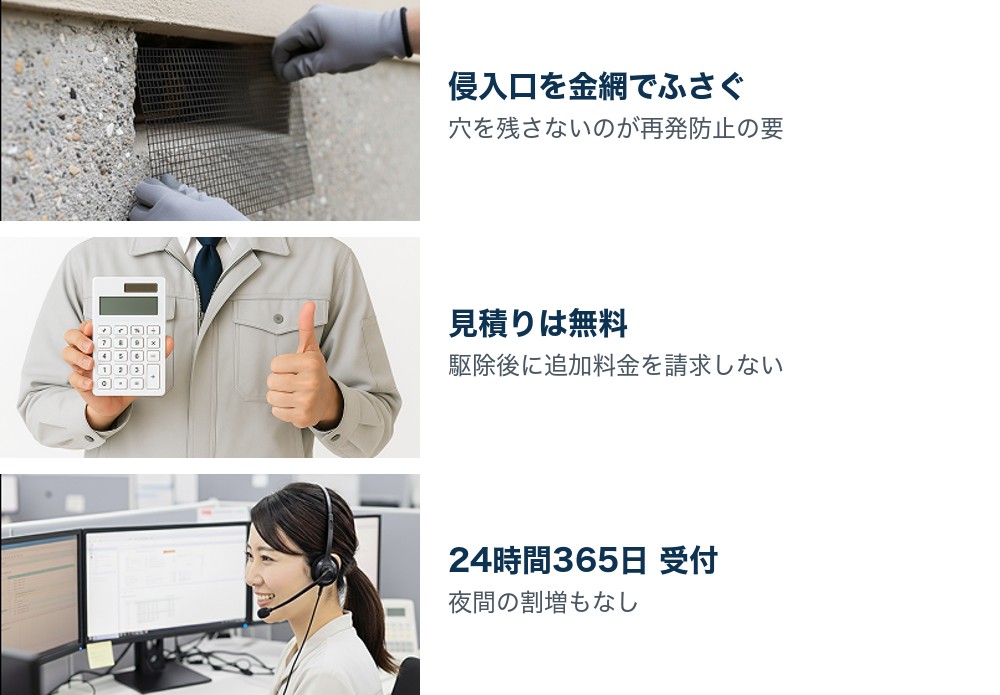 侵入口を金網でふさぐ作業・見積り・24時間受付