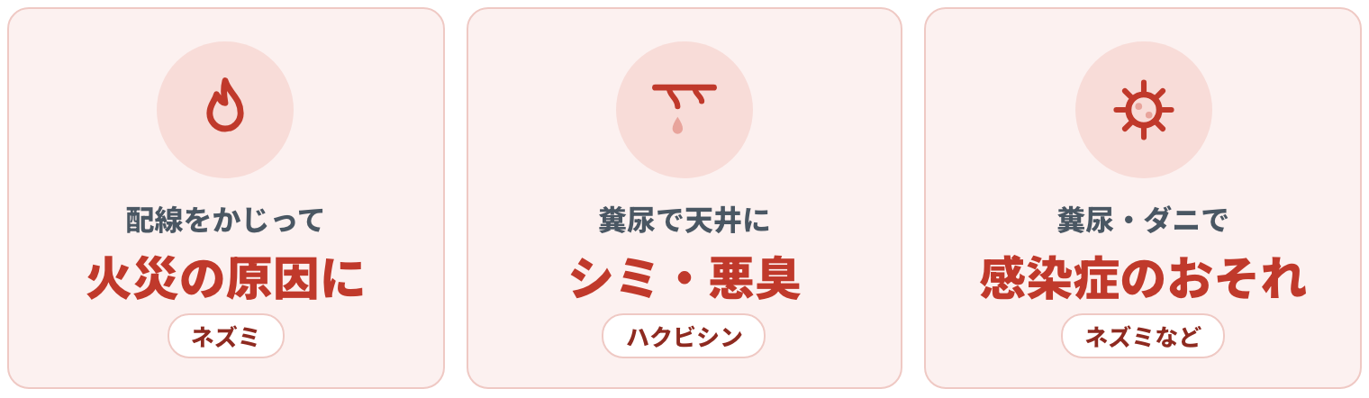 ネズミが配線をかじって火災の原因に、ハクビシンの糞尿で天井にシミ・悪臭、ネズミなどの糞尿やダニで感染症のおそれ